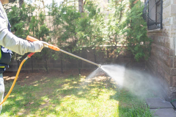 Professional Pest control in Comstock Northwest, MI